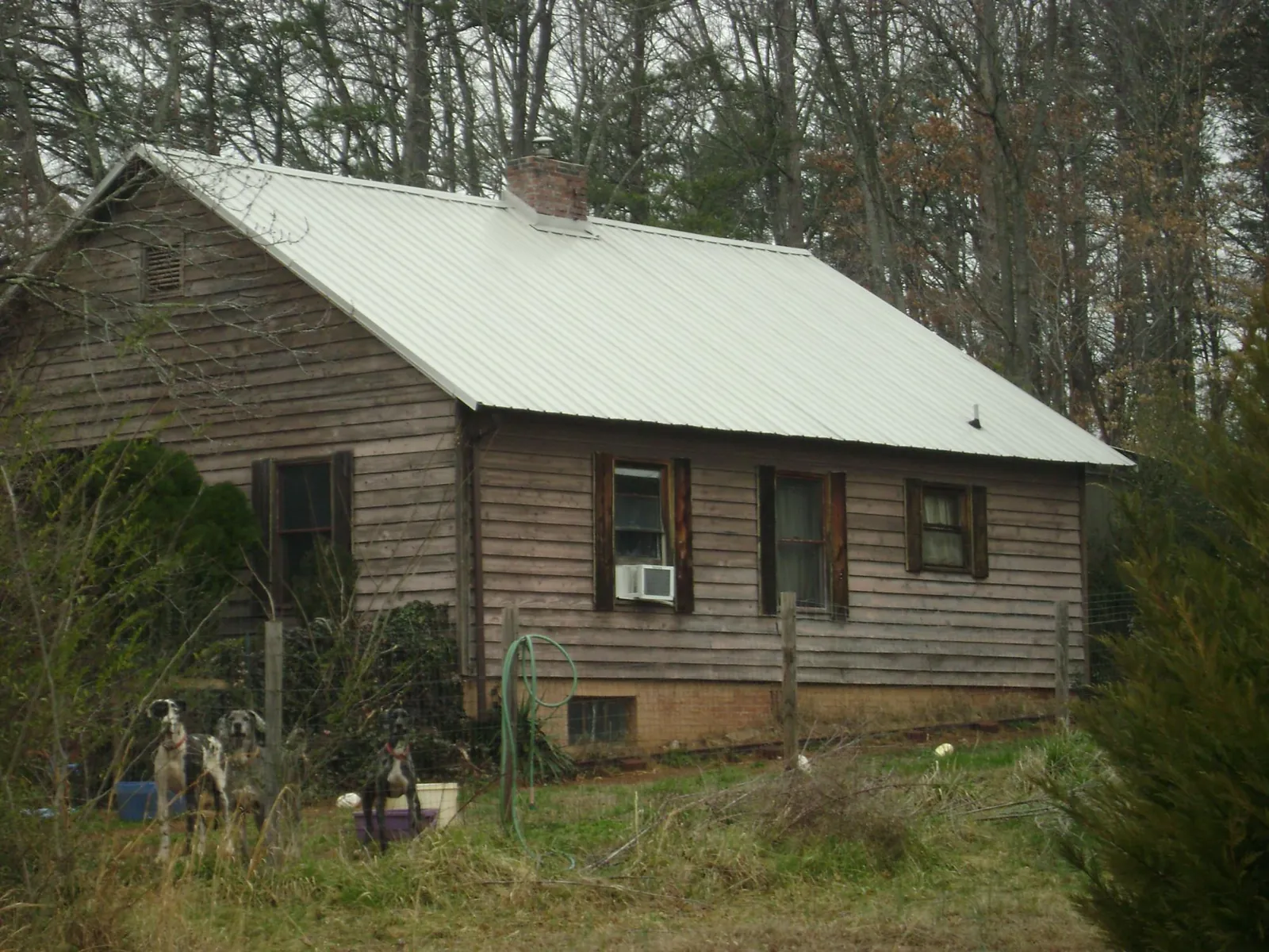 White metal roof on an old wood sided farmhouse, from a Metal Roof Installation job in Red Bluff